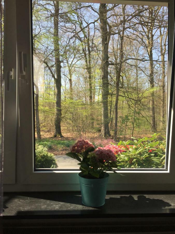 Wilschenbruch Apartment *